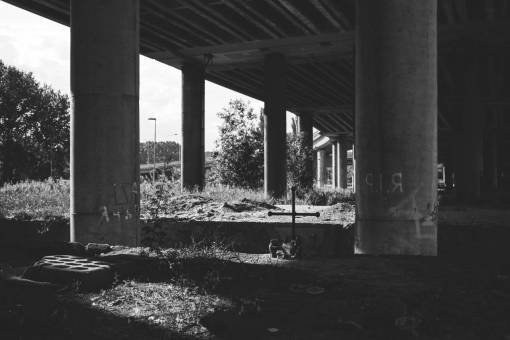 autopista arquitectura infraestructuras puente autopistas postes vigas árboles
