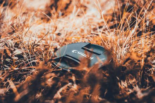 camera  lens  black  photography  canon  outdoor  grass
