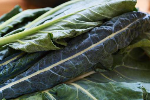 rizos col rizada fresca macro alimentos orgánicos hojas toscana