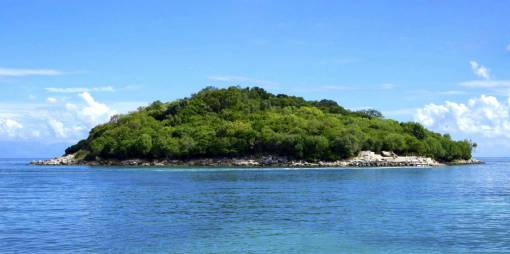 aventura de verano árboles de la isla plantas verdes mar océano agua