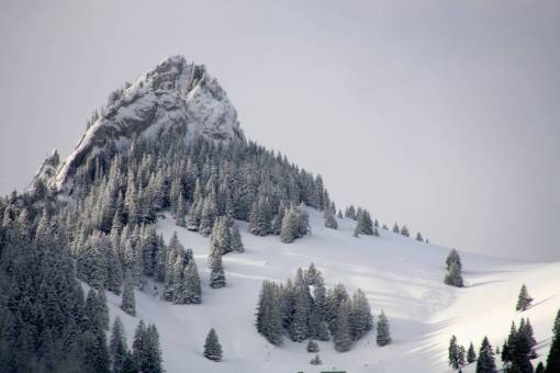 alpes naturaleza alpes montañas nieve árboles invierno