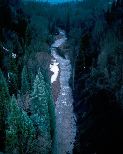 corriente naturaleza bosque árboles agua río corriente tierra