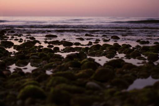 nature  landscape  travel  adventure  water  ocean  sea