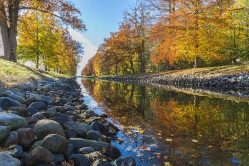 nature  river  trees  plants  autumn  fall  clouds