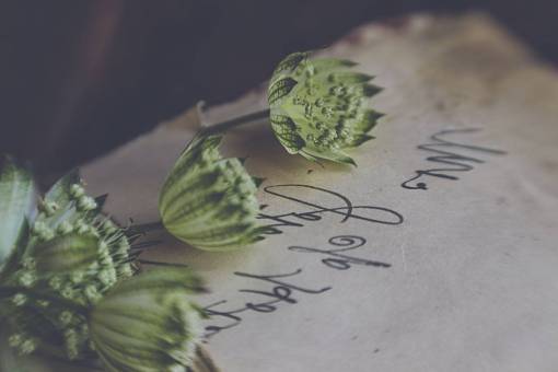 escritura Carta antigua nota de cerca flor de historia vintage