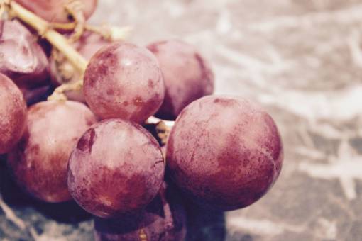 grape red  grapes  fruits  food  healthy
