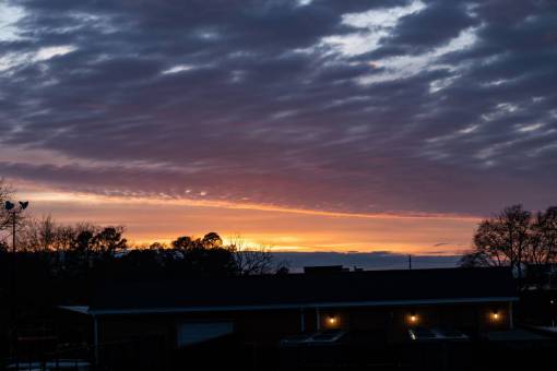 rural  sunrise  sky  clouds  trees  silhouette  nature