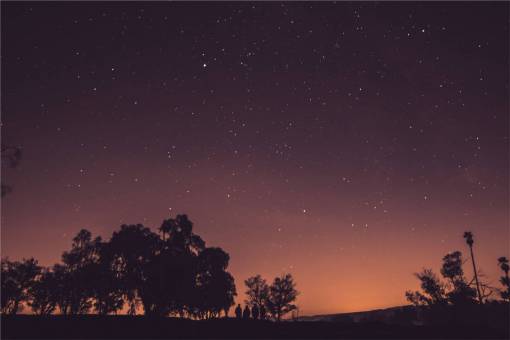 estrellas cielo anochecer noche tarde silueta árboles