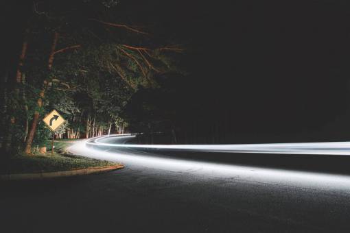 árboles plantas naturaleza al aire libre viajes noche oscura