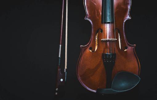 violin violin  music  musical  instrument  sound  melody

