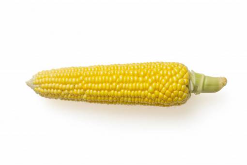 healthy-lifestyle freshness agriculture corn food organic vegetable yellow