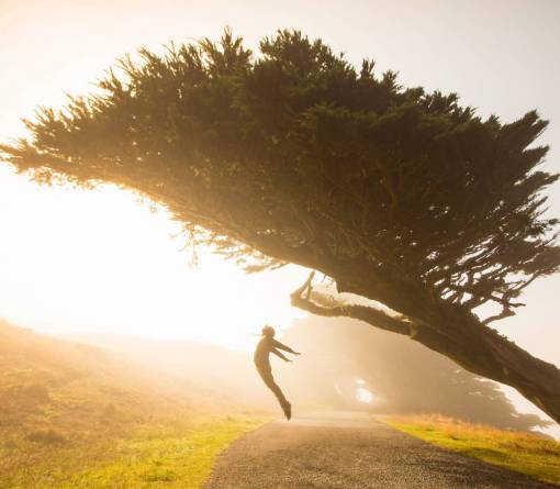 sunlight men woman;outdoors;jumping;sunset;dreaming nature outdoors sunset summer tree