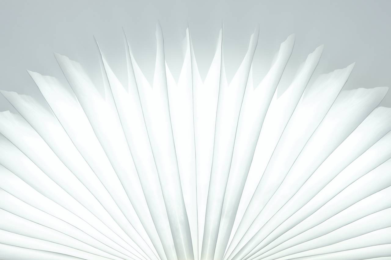 lamp;decor;light;white;paper;object,backgrounds,abstract,pattern,nature,illustration,design,leaf,backdrop, 