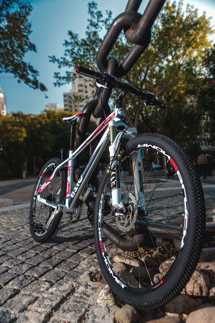 bicycle, bike, park, city, urban, street, building, trees
, 