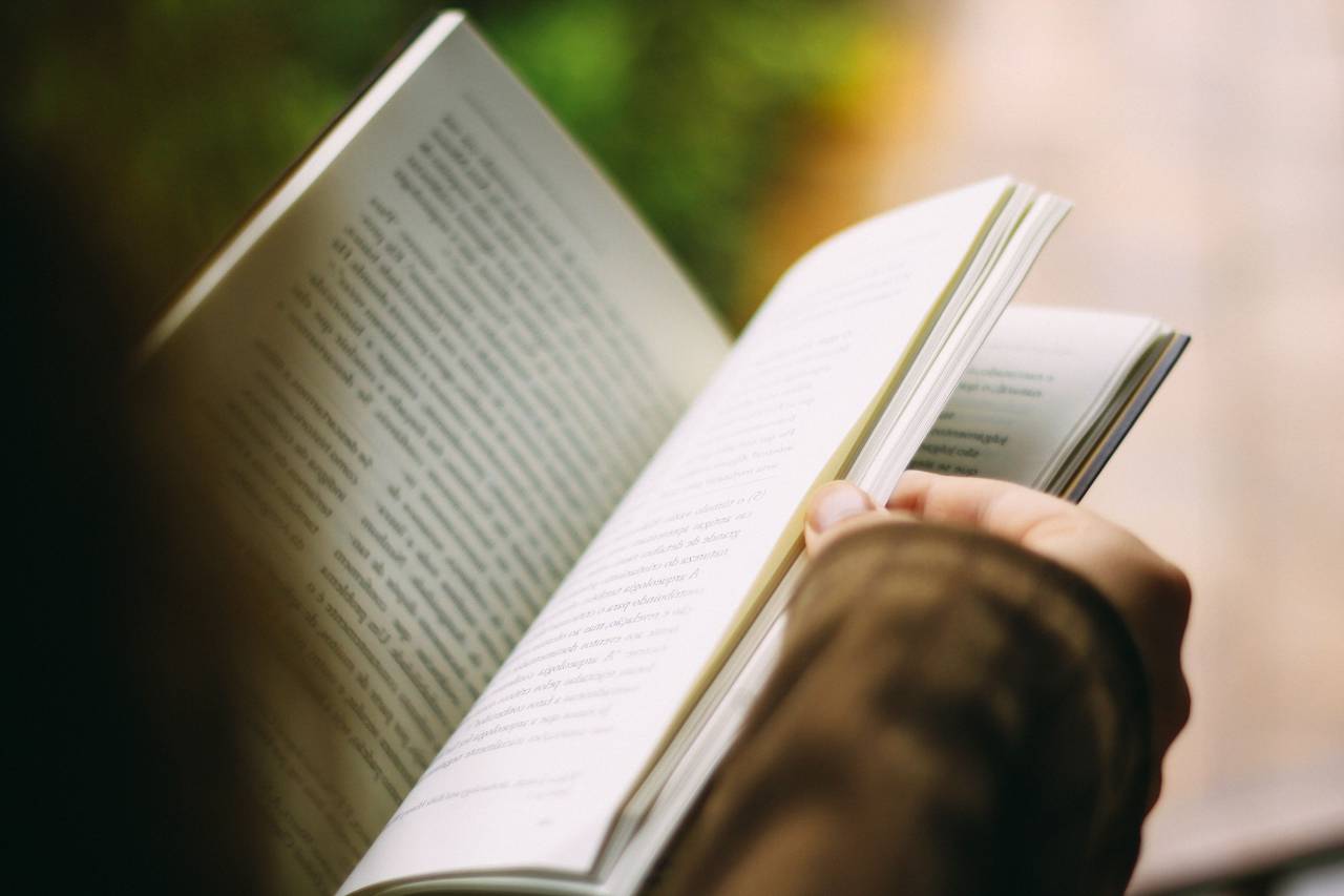 libro, lectura, negocios, escuela, estudio, educación,