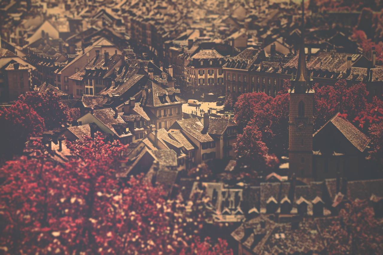 ciudad, edificios, arquitectura, tejados, árboles, hojas, otoño, otoño,