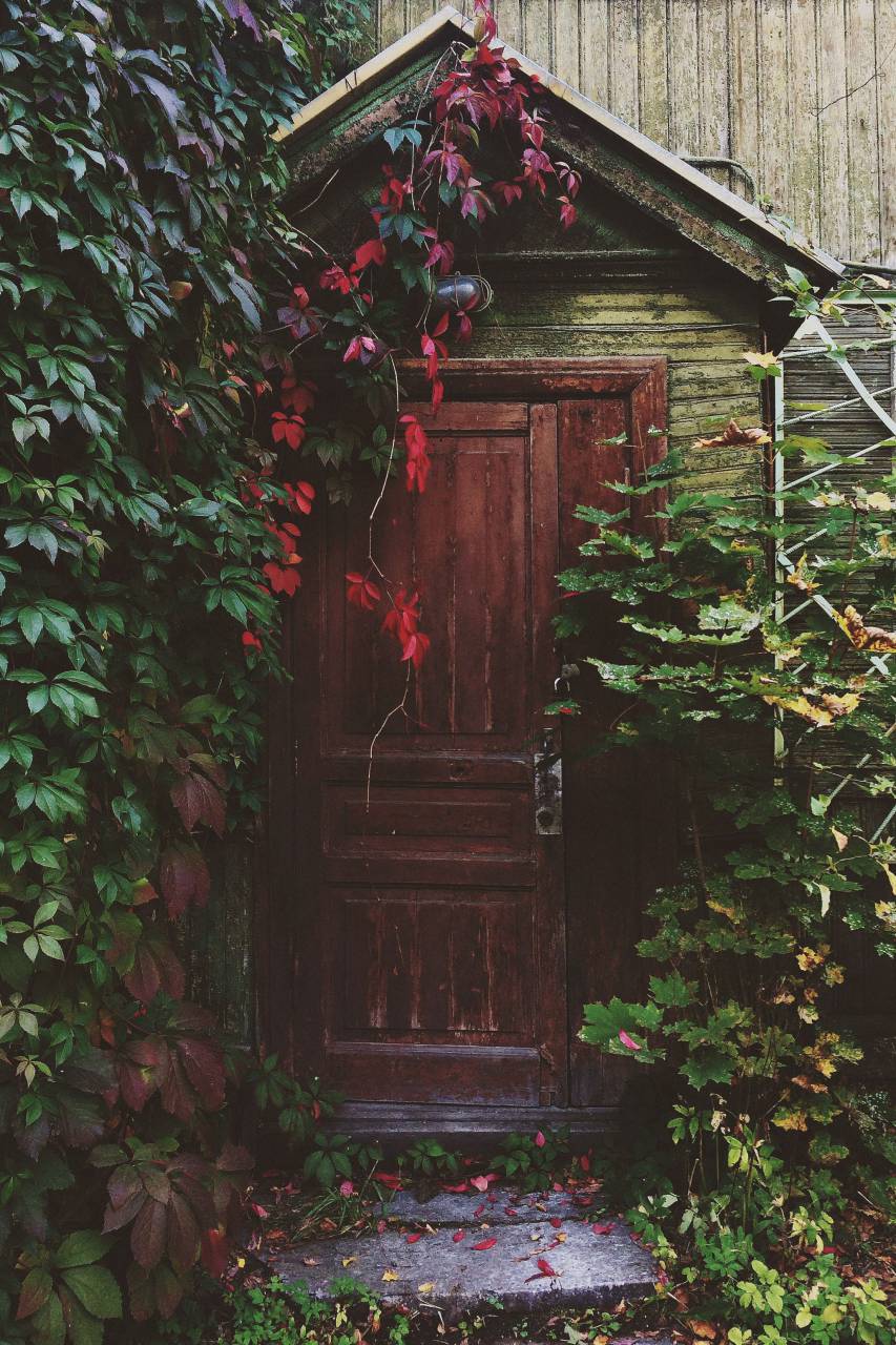 entrance, door, wood, vines, leaves, garden, trees
, 