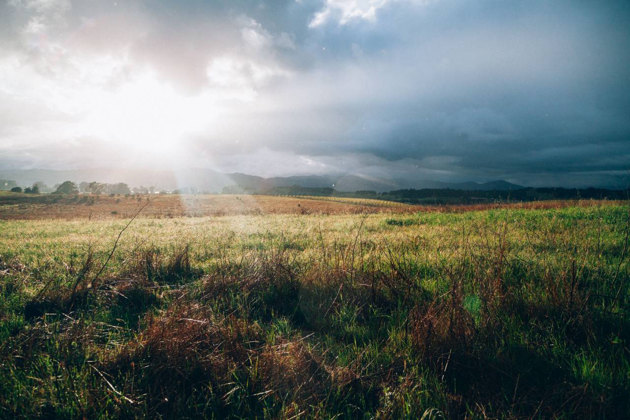 grass, field, rural, countryside, landscape, nature, sunbeams, sun rays, clouds, cloudy, sky, outdoors
, 