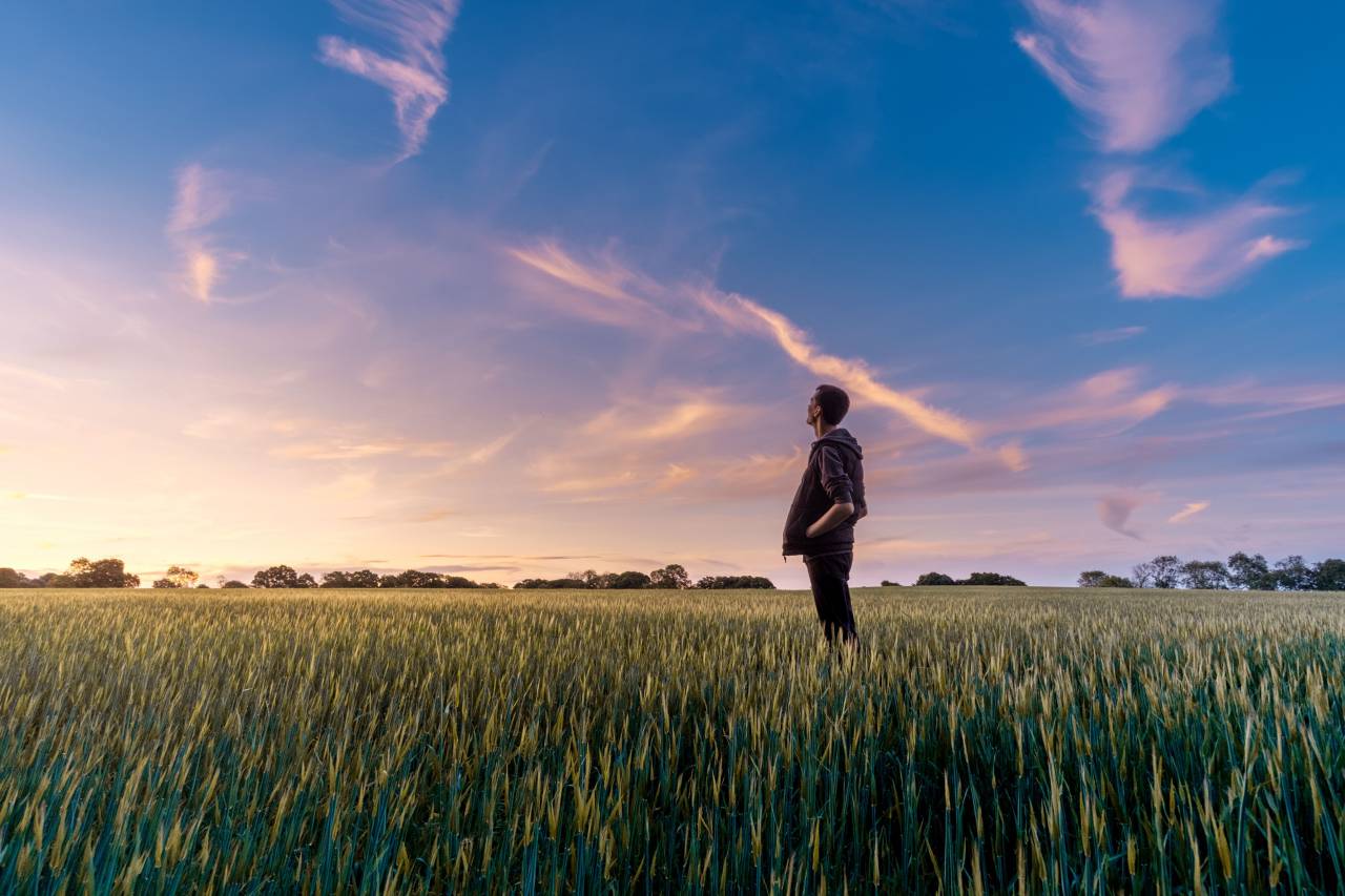 green, field, crops, agriculture, farm, nature, yard, trees, plant, outdoor, cloud, sky, people, man, alone
, 