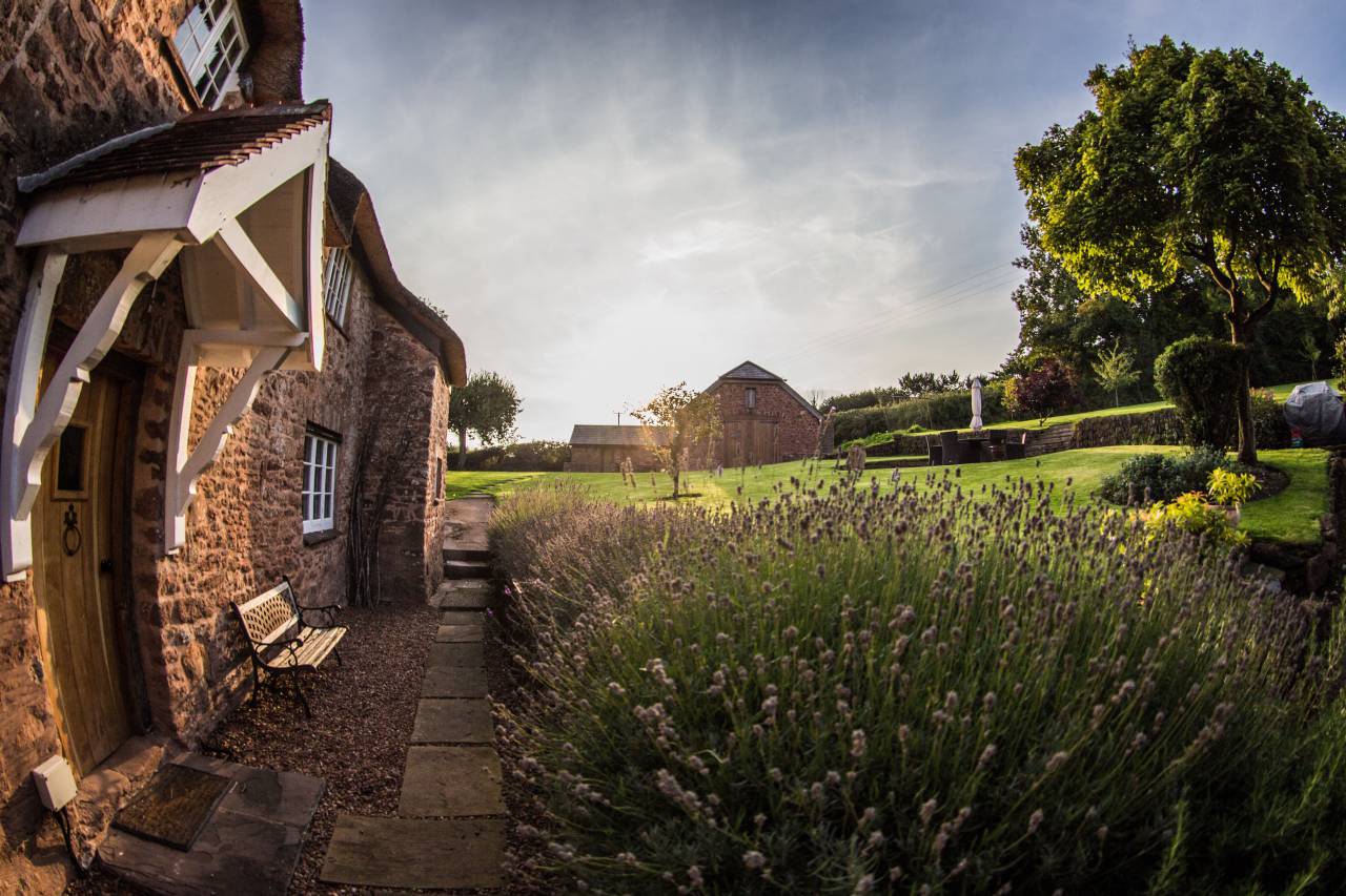 green, grass, field, nature, outdoor, sky, cloud, trees, plant, houses, backyard, garden
, 