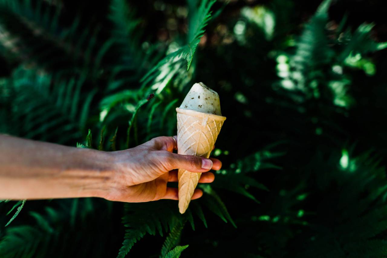 Verde, hoja, planta, naturaleza, exterior, helados, dulces, postres, comida, cono, mano