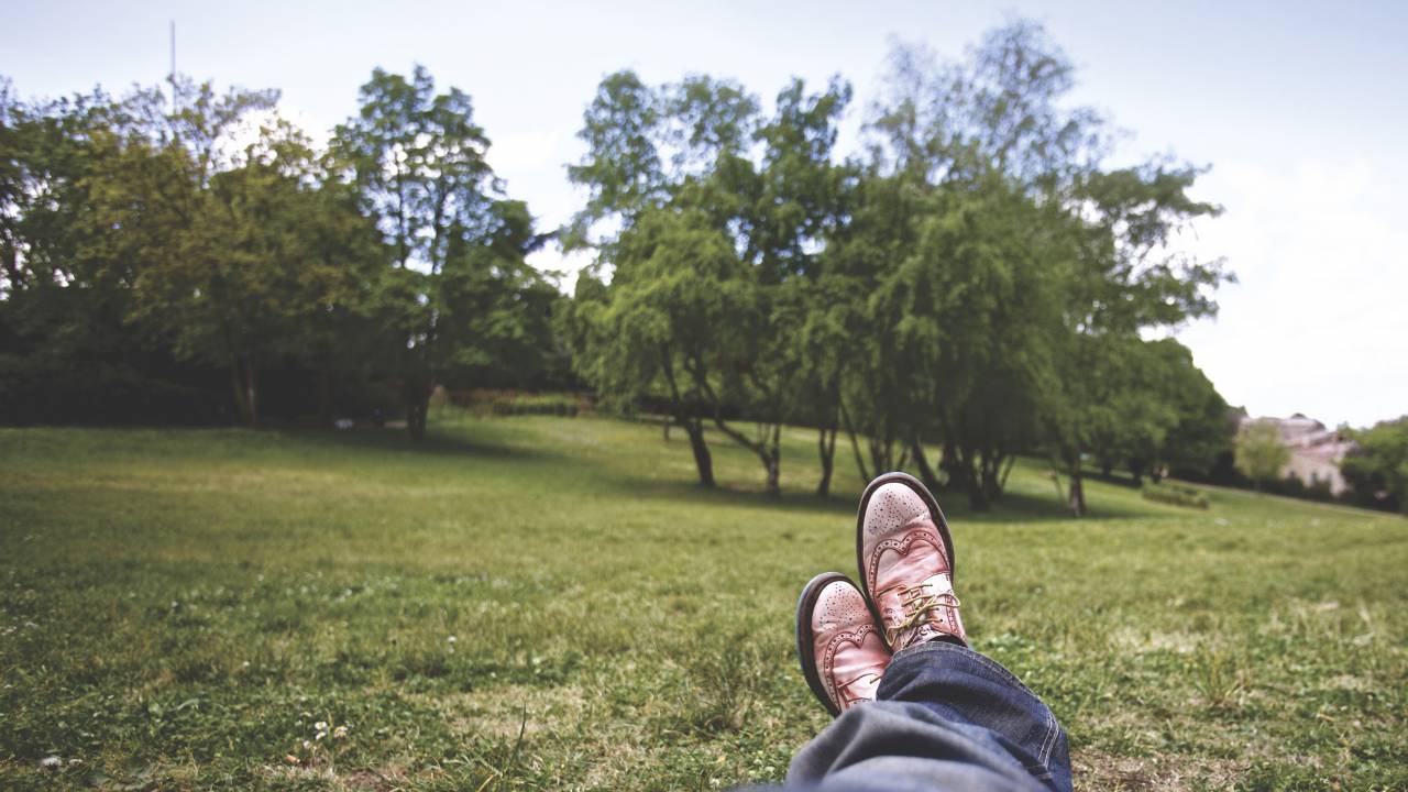 guy, man, male, people, feet, legs, shoes, oxfords, pants, nature, landscape, grass, trees, sky
, 