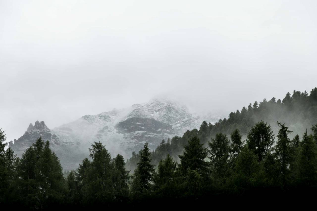 Montaña, valle, árbol, planta, naturaleza, paisaje, naturaleza, nubes, cielo, niebla, nieve, invierno, frío, clima,