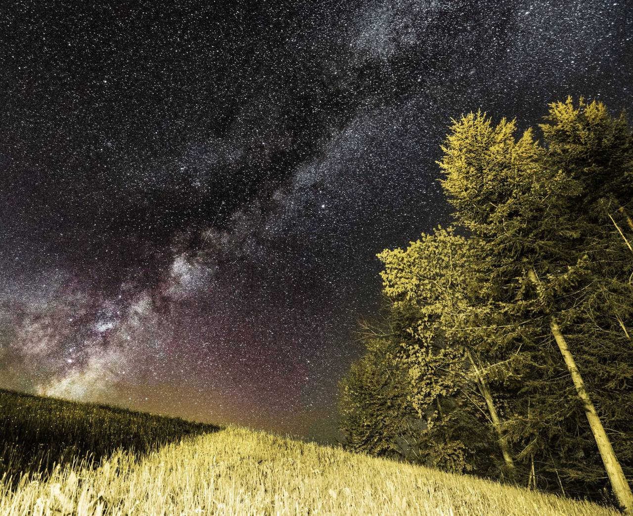 naturaleza, paisaje, césped, árboles, árboles, noche, cielo de estrellas, constelación, sombras, luz,