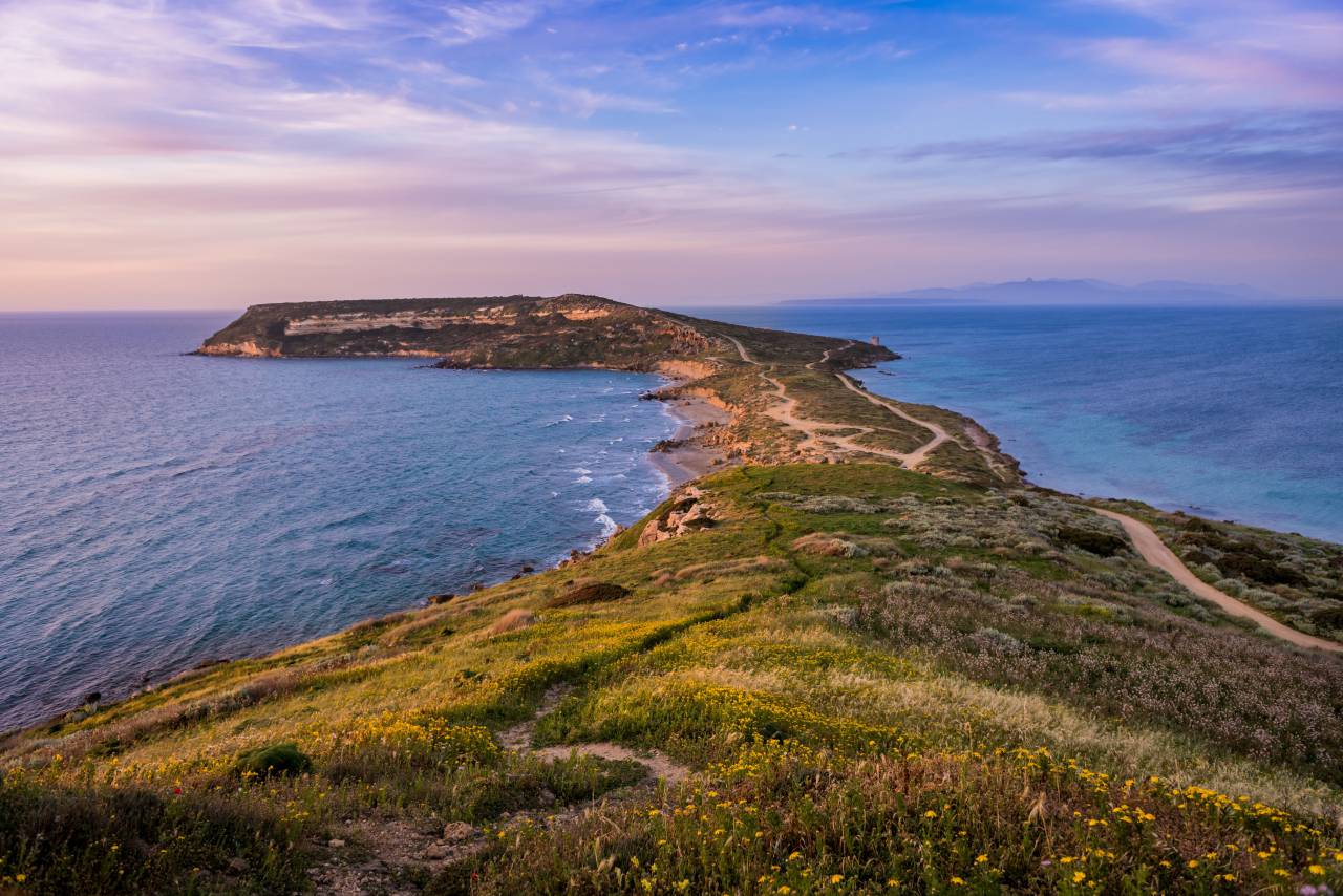 naturaleza, paisaje, verde, océano, cielo, nubes, mar, azul, flor,