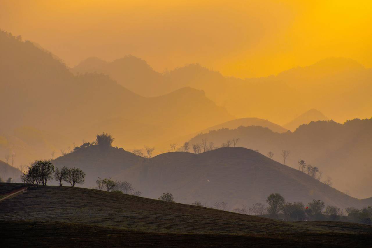 natureza, paisagem, montanhas, gradiente, marrom, amarelo, árvores, grama,