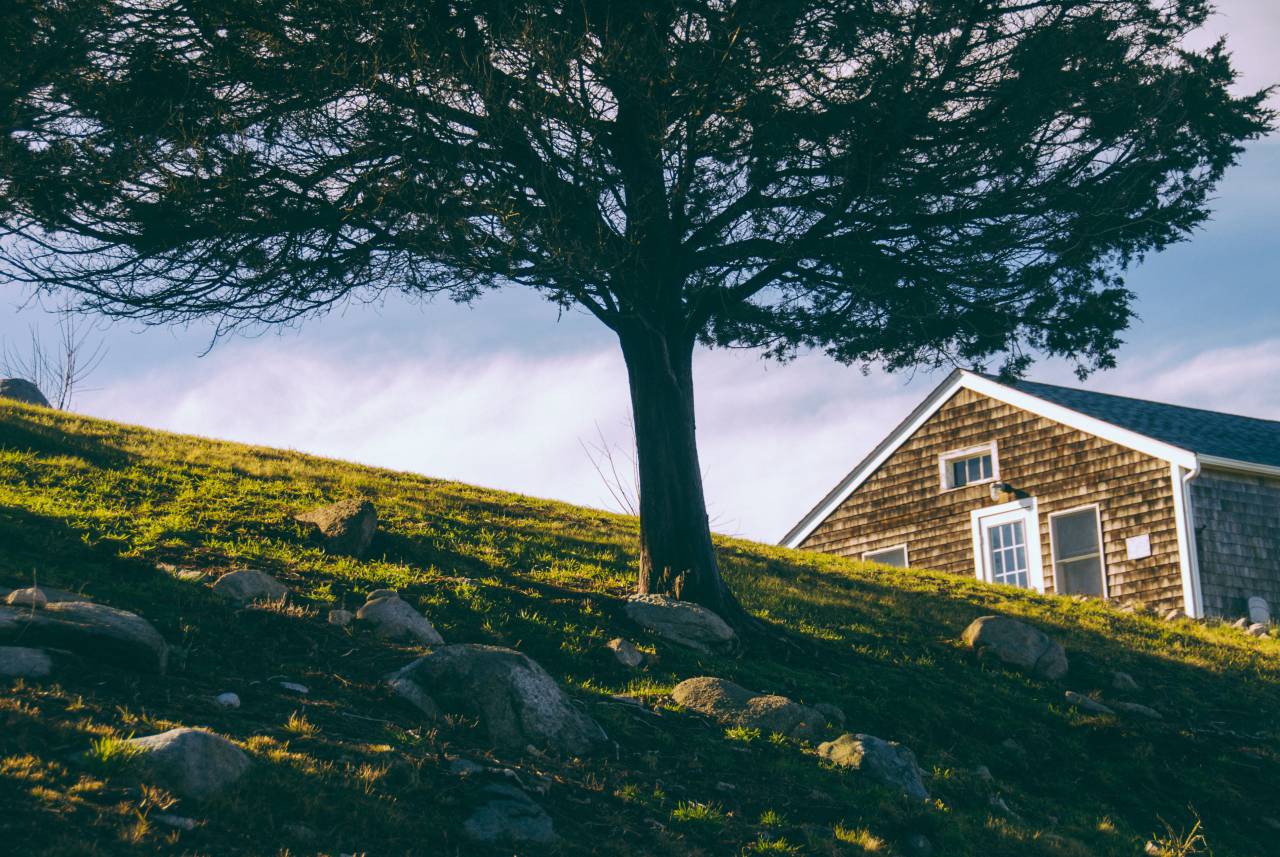 nature, landscape, trees, green, grass, clouds, sky, house, home, windows
, 