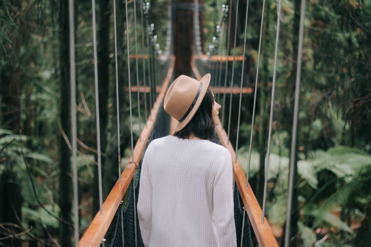 pessoas, menina, mulher, viajar, caminhar, sozinho, chapéu, natureza, plantas, ponte, árvores,