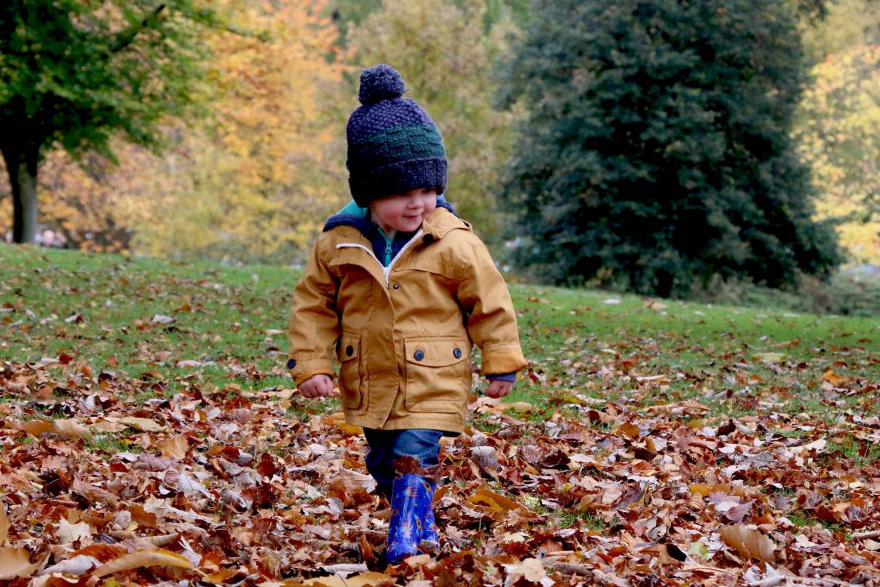 people, kid, child, baby, happy, boy, cold, weather, autumn, fall, sumer, bonnet, leaves, green, park, trees
, 