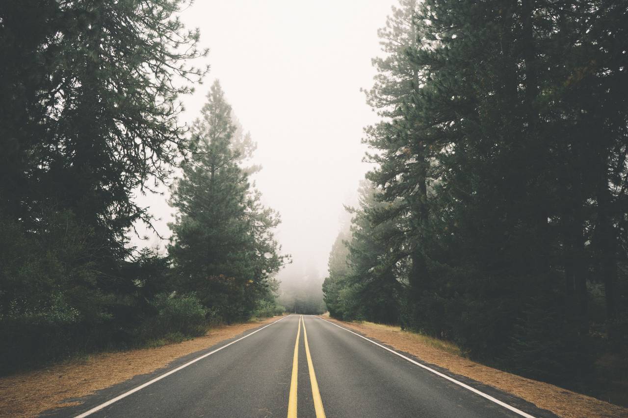 road, trees, forest, woods, empty, fog, country
, 