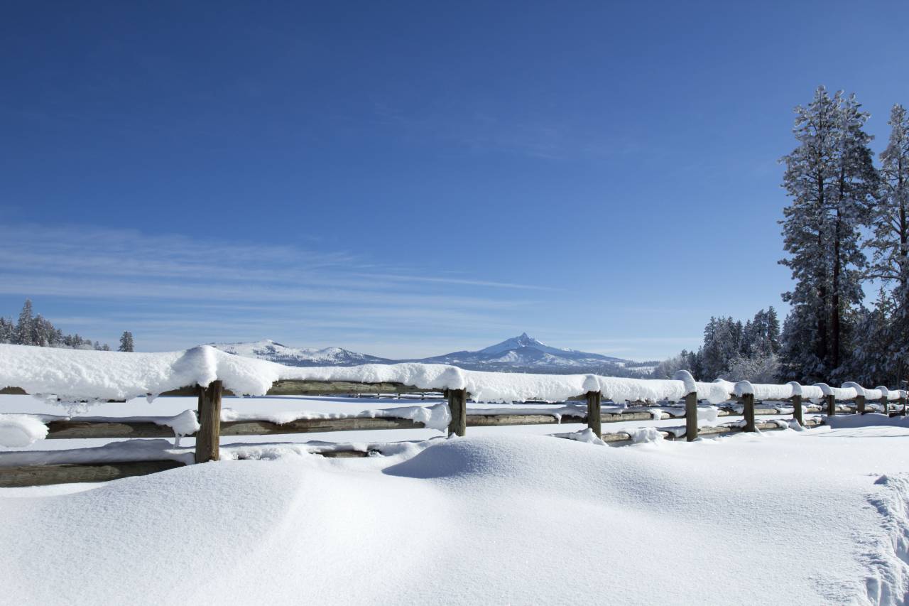 nieve, invierno, paisaje, cubierto, valla, árboles, horizonte, cielo, naturaleza, frío, congelado, montaña, nevado, día, al aire libre, temporada,