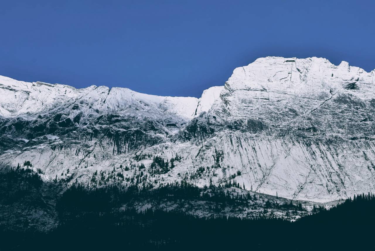 nieve, invierno, blanco, frío, clima, hielo, árboles, plantas, naturaleza, viajar, aventura, bosque, bosque, montaña, caminata, escalada, emigrar, azul, cielo,