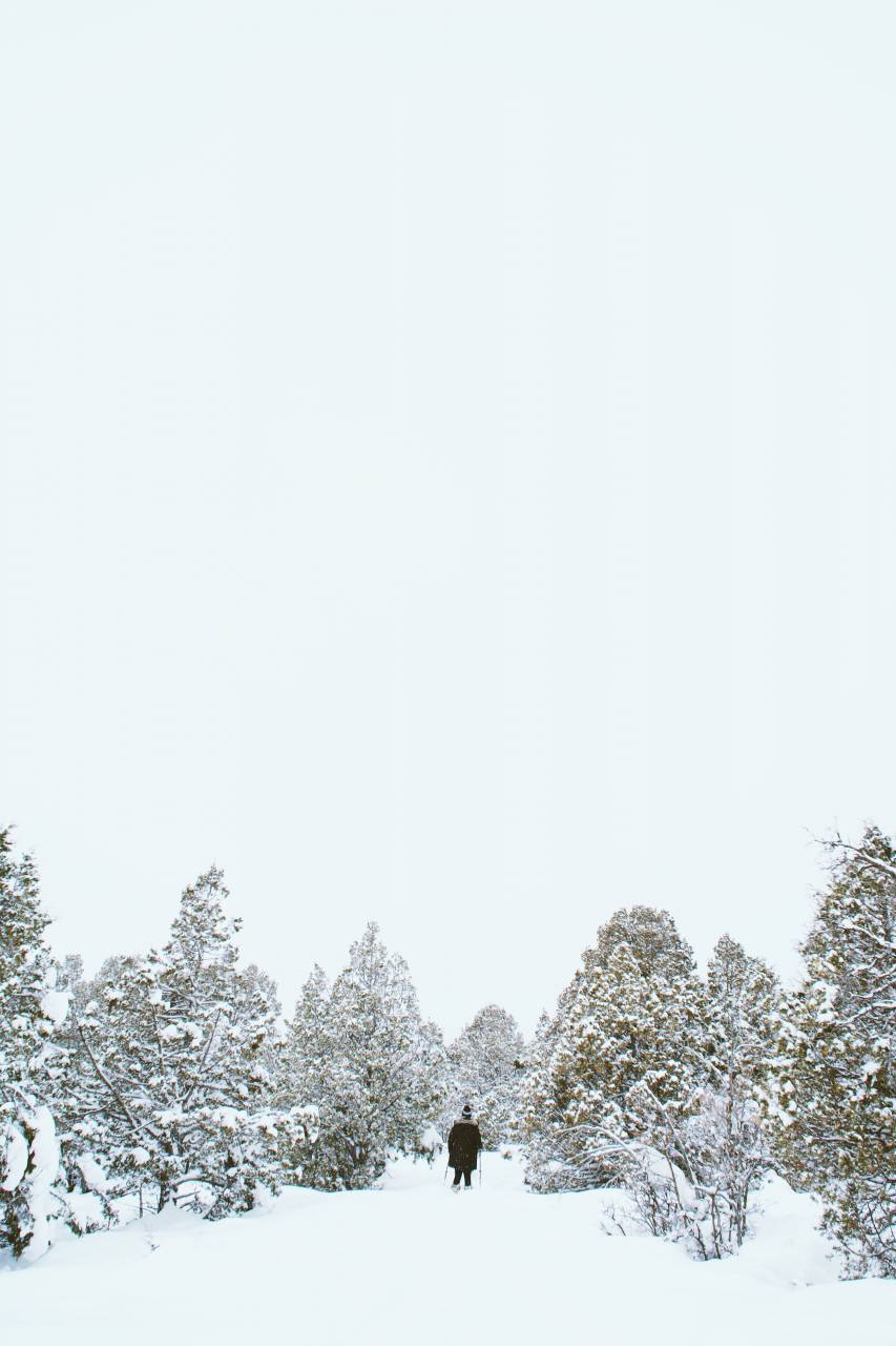 nieve, invierno, blanco, frío, clima, hielo, árboles, plantas, naturaleza, gente, hombre, chaqueta, capó, solo, deslizamiento, esquí, hobby, deporte,