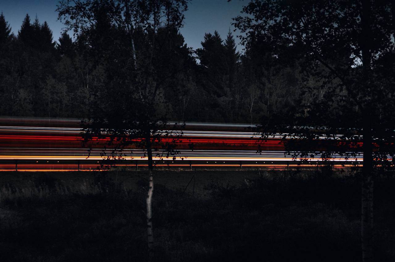 Árboles, camino, luces, oscuro, cielo, autopista, naturaleza, tronco, plantas,