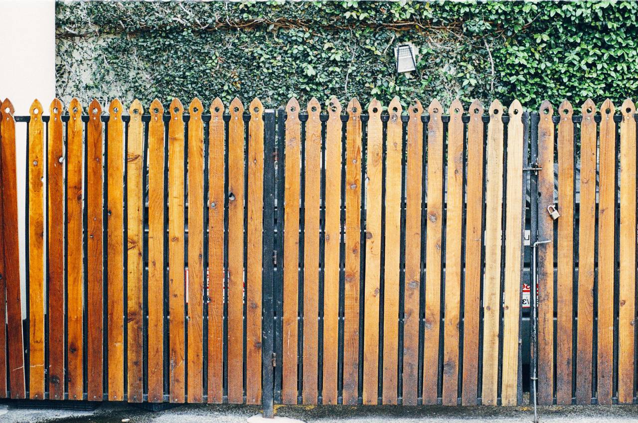wood, fence, gate, lock, vines, leaves
, 