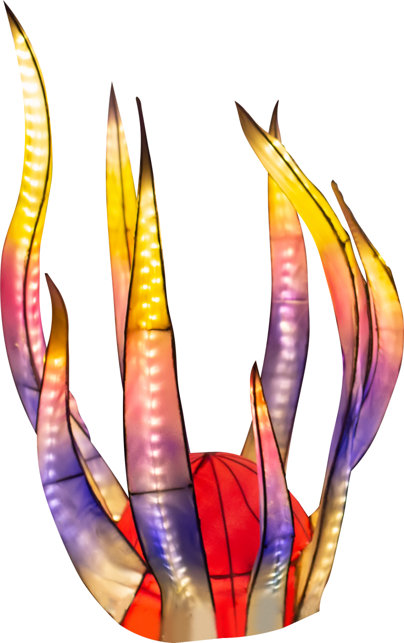  multi colored,backgrounds,yellow,abstract,decoration,nature