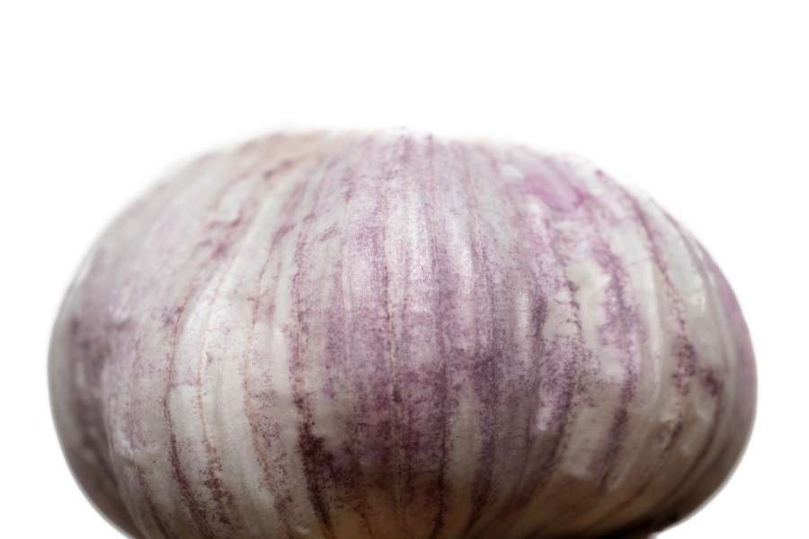 fondo, marrón, primer plano, composición, cocina, detalle, comida, fresco, ajo, grupo, mitad, saludable, hierba, ingrediente, macro, antiguo, orgánico, pelar, púrpura, crudo, rojo, rústico, escala, sección, rebanada, Espacio, especia, espiga, textura, vegetales, vintage, conjunto, aislado