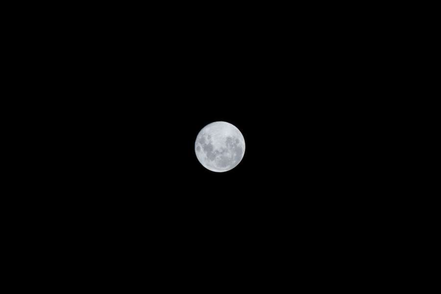 astrología, astronauta, astronómico, astronomía, fondo, negro, azul, brillante, celestial, circular, cosmos, cráter, diseño, digital, tierra, eclipse, completo, galaxia, brillante, gris, halloween, cielo, iluminado, aislado, ligero, luna, lunar, medianoche, luna, luz de la luna, naturaleza, noche, órbita, fase, planeta, satélite, ciencia, cielo, espacio, esfera, estrella, superficie, crepúsculo, universo,