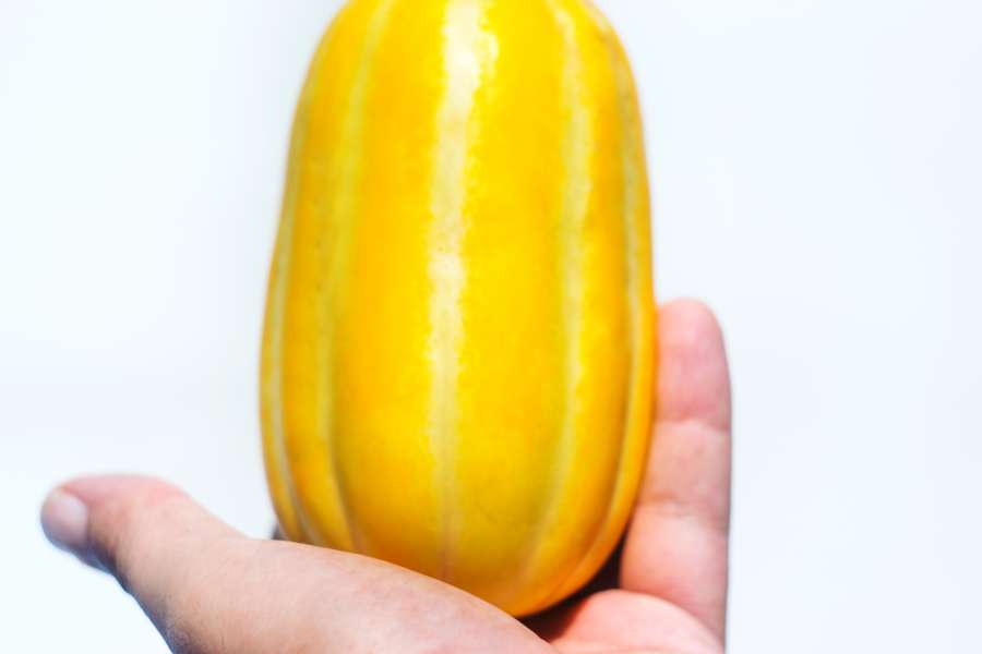 Golden, dulce, melón, fruta, cerrar, detalle, amarillo, mano, tenencia, fresco, comida, blanco, fondo