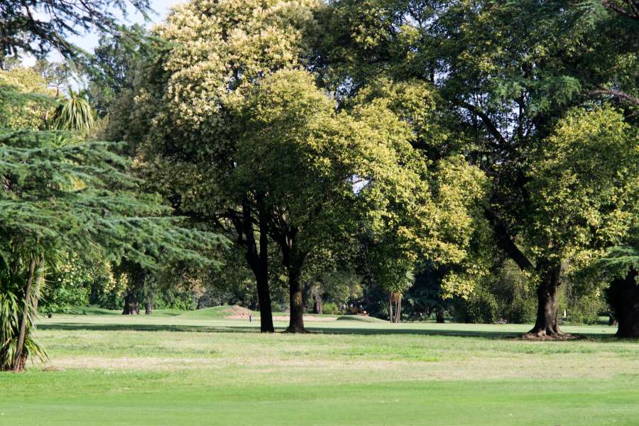 golf, curso, arena, césped, deporte, nadie, día, verde, activo, concepto, país, calle, campo, juego, colina, agujero, vacaciones, paisaje, césped, ocio, pradera, natural, naturaleza, al aire libre, jugar, de vacaciones, deportes, espacio, suburbano, veraniego,