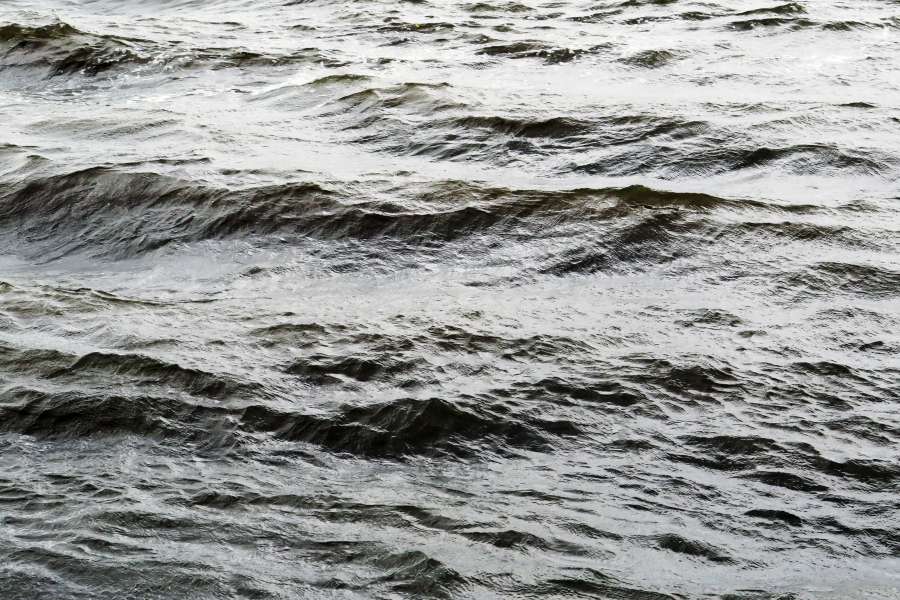 water, background, parana, river, argentina, latin america, day, detail, close up, nobody, 