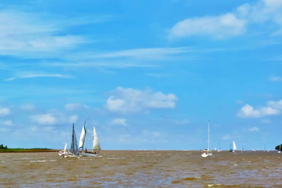 Sailboats, sailing, outdoors, rio de la plata, river, plata, buenos aires, argentina, coast, day, summer, activity, cloudy, sky, water, latin america, landscape, 