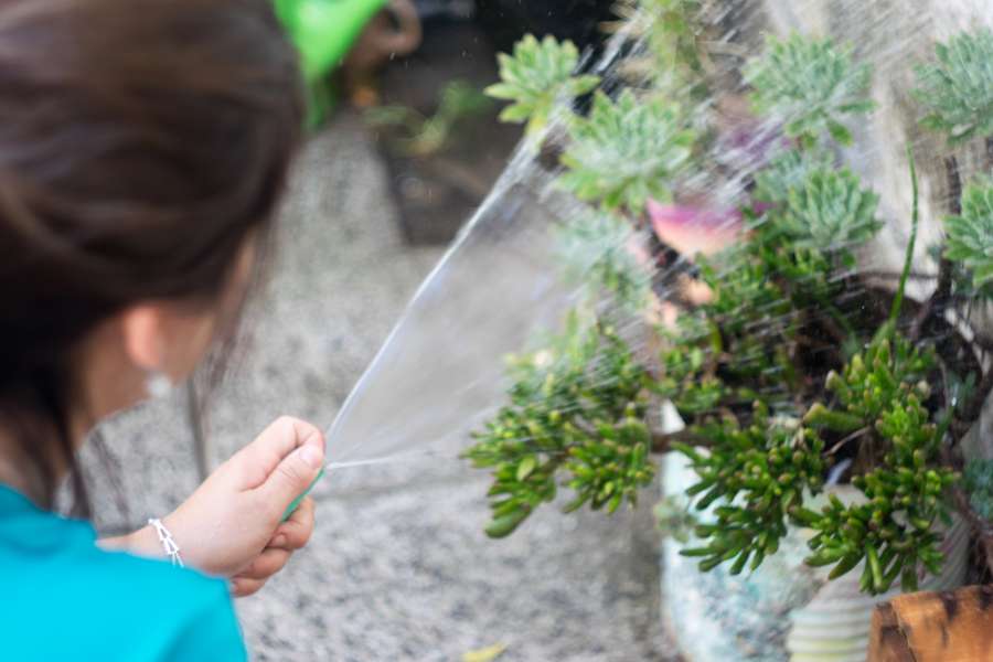 Mujer, riego, plantas, agua, al aire libre, una persona, adulto, verano, día