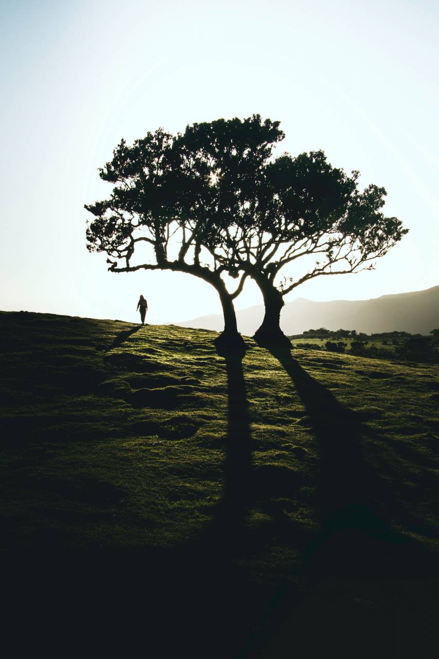 silhouette, background, sunset, outdoor, beautiful, nature, sky, people, day, field, summer, girl, beauty, woman, white, green, spring, outside, park, lifestyle, sunlight, women, tree, morning, healthy lifestyle, beauty in nature, one young woman only, serene people, rural scene, sunrise - dawn, non-urban scene, outdoors, tranquil scene, 