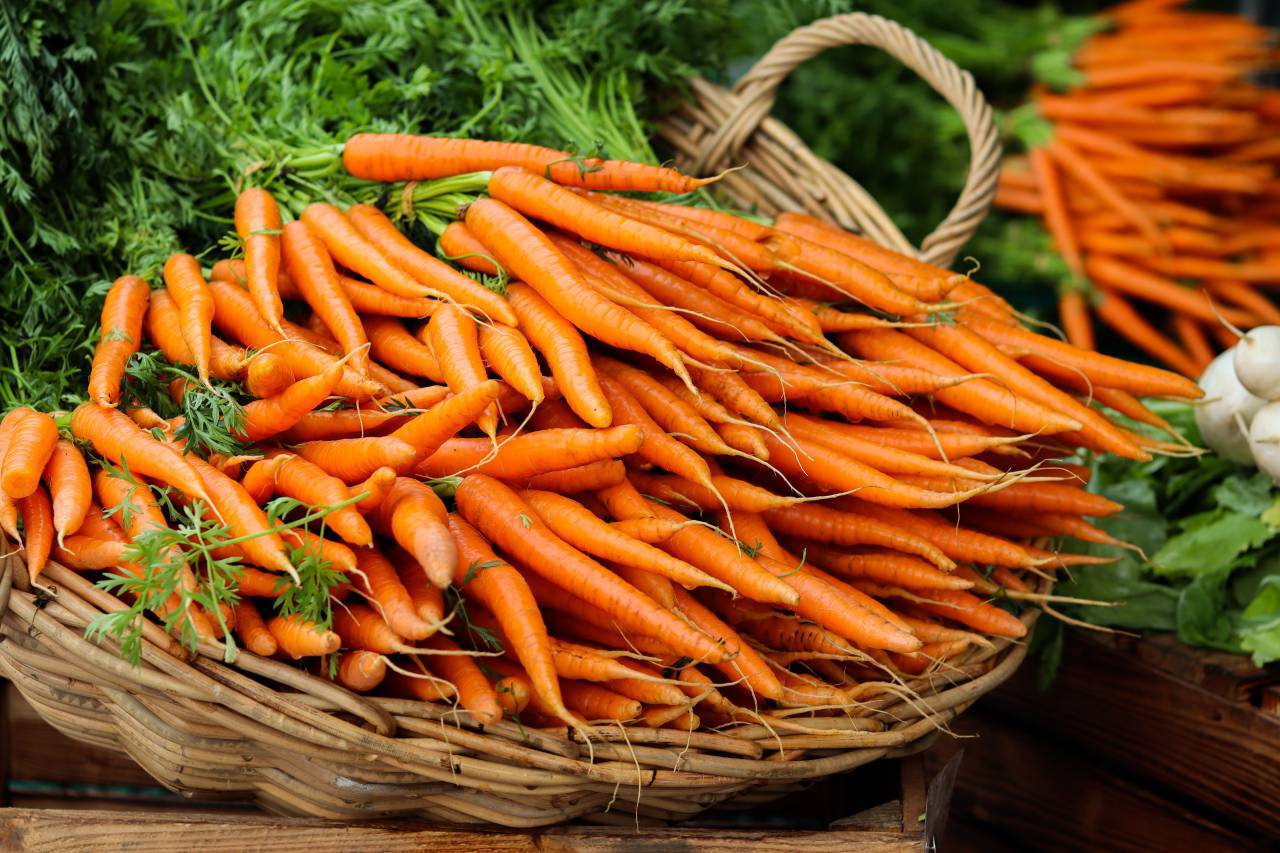 Basket, Fresh Carrots, Produce, Vegetables, Garden, Healthy, Organic, Farm, Harvest, Nutritious, Natural, Farm Fresh, Carrot Harvest, Locally Sourced, Wholesome, Seasonal, Farm to Table, Nourishing, Homegrown, Garden Fresh, Culinary, Food, Cooking, Ingredients, Vibrant, Colorful, Earthy, Freshly Picked, Sustainable, Nutrient-rich, 