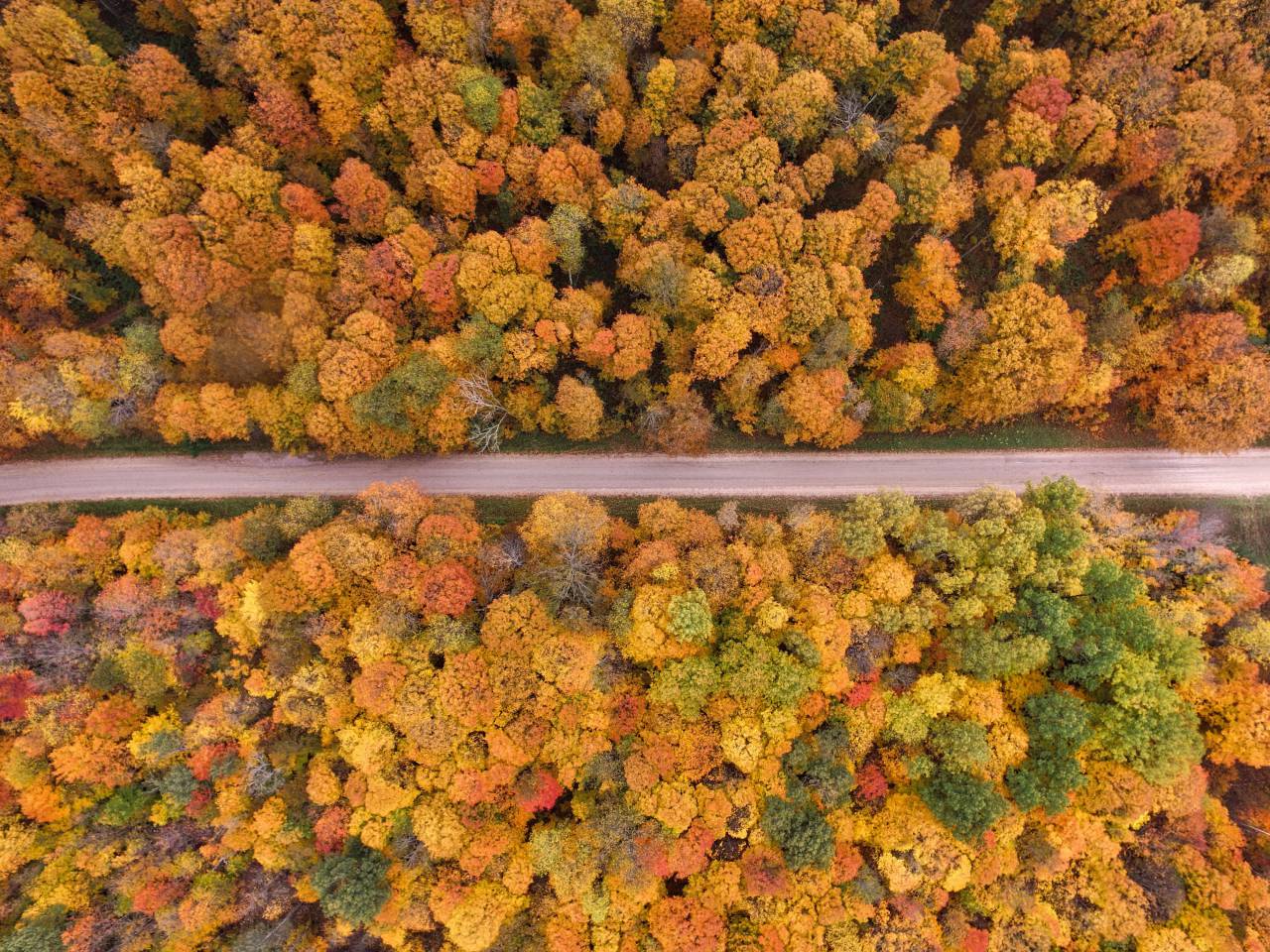 aéreo, camino, paisaje, bosque, naturaleza, vista, zumbido, al aire libre, árbol, rural, arriba, verde, viaje, natural, verano, campo, pino, fondo, escénico, camino, asfalto, madera, parte superior, medio ambiente, coche, hermosa, Árboles, parque, bosque, temporada, viaje, curva, alto, autopista, montaña, ojo, encima, devanado, cielo, transporte, otoño, follaje, aventuras, vista superior, país, escena, planta, calle, salvaje, aéreo vista,